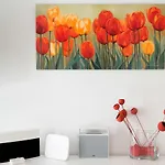 Bateles * Кониль-де-ла-Фронтера